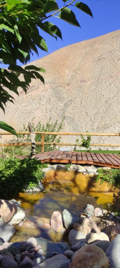 Casa Jardin De Hadas Con Vista Panoramica Pisco Elqui Extérieur photo