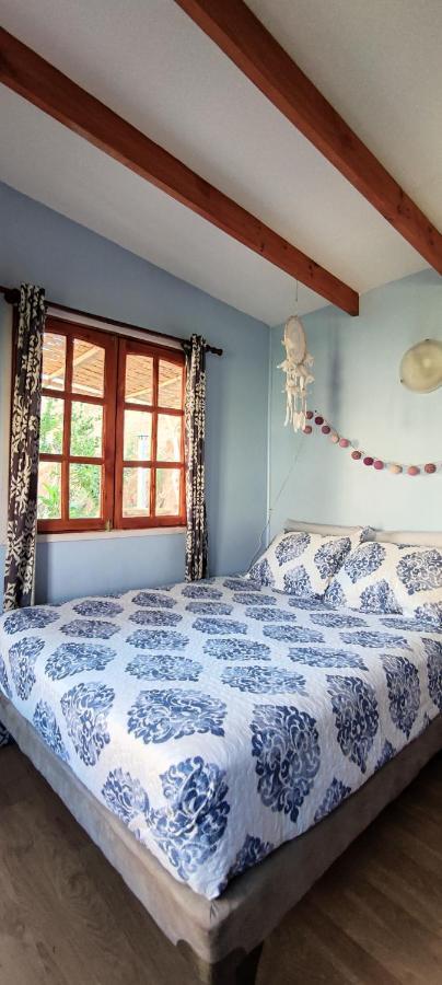 Casa Jardin De Hadas Con Vista Panoramica Pisco Elqui Extérieur photo